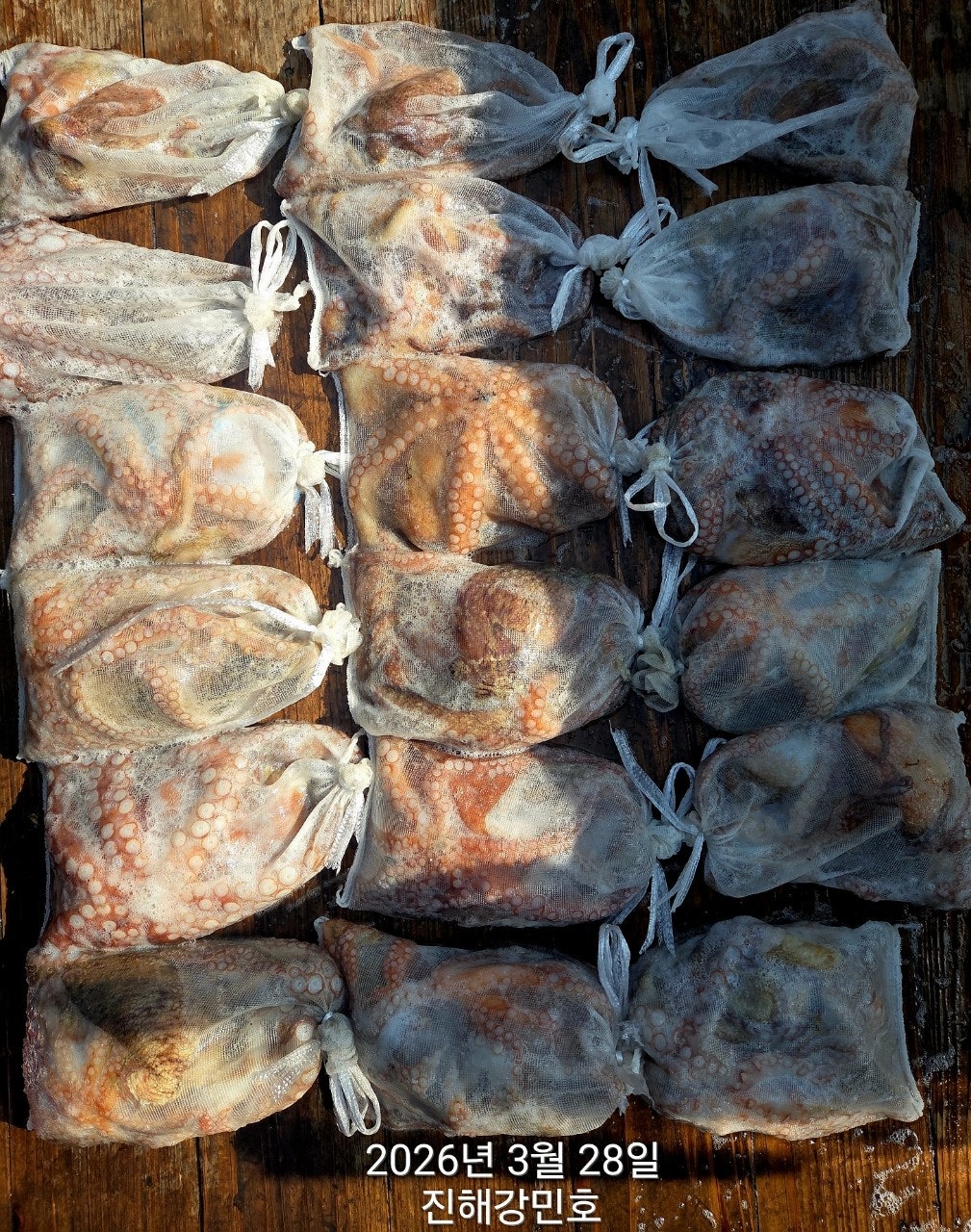 ����ڰ� �ø� �̹���