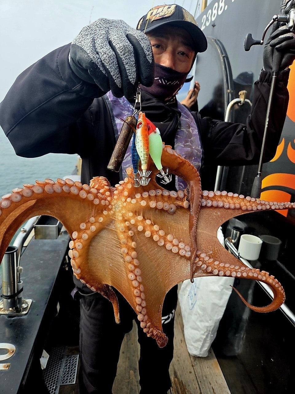 ����ڰ� �ø� �̹���