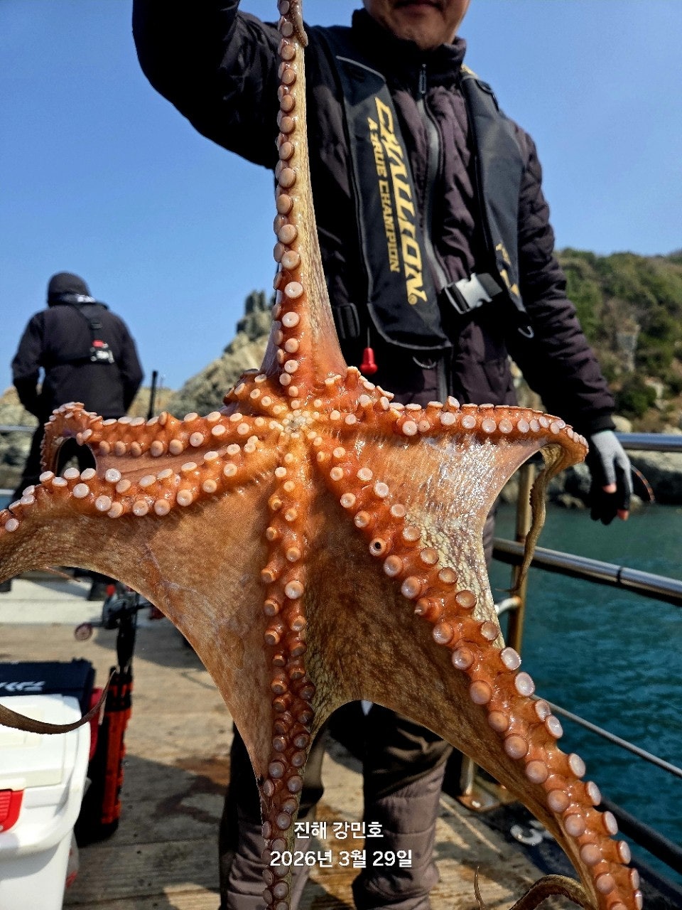 ����ڰ� �ø� �̹���