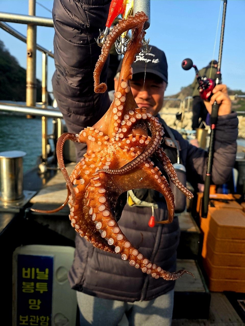 ����ڰ� �ø� �̹���