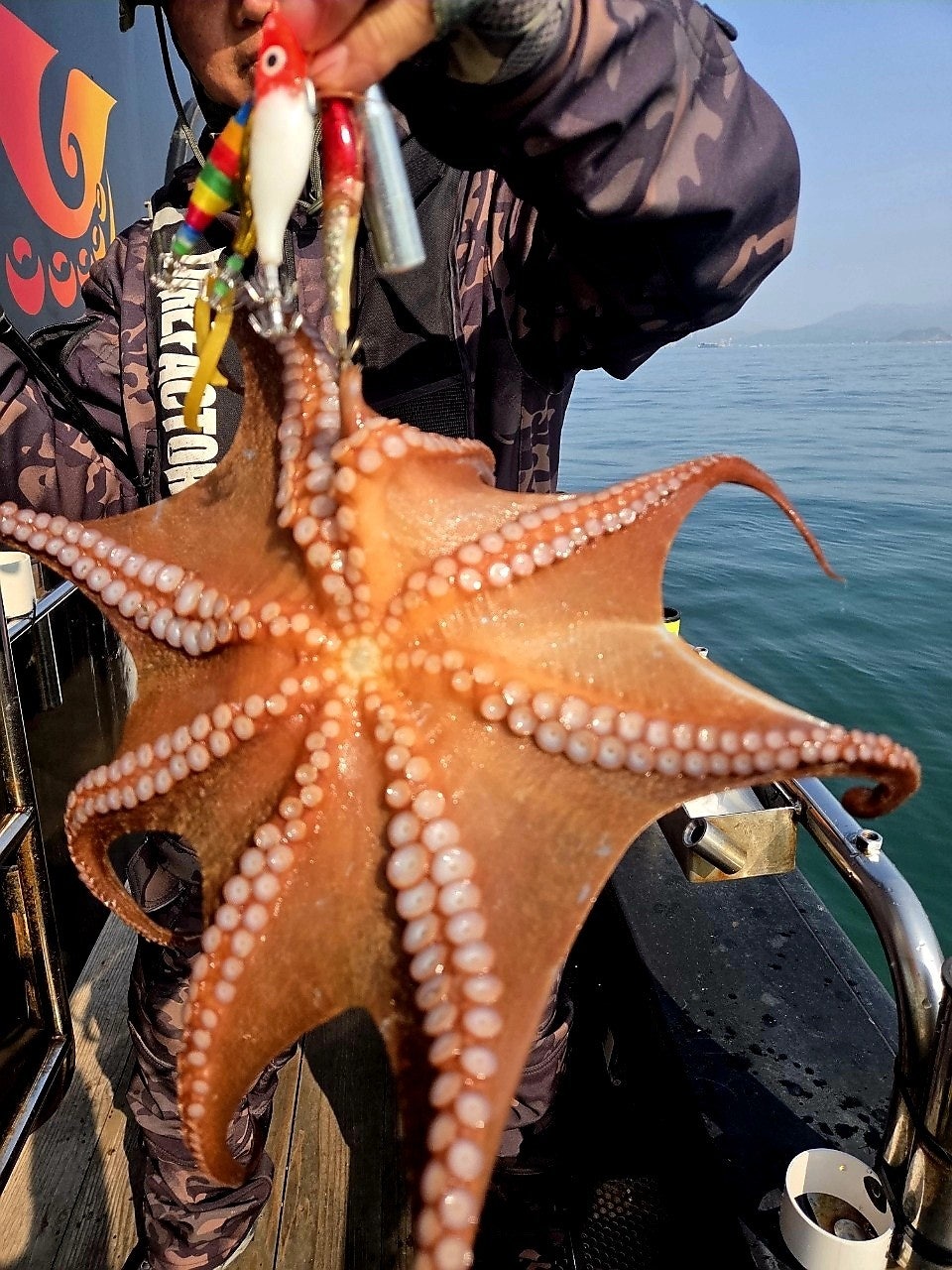 ����ڰ� �ø� �̹���