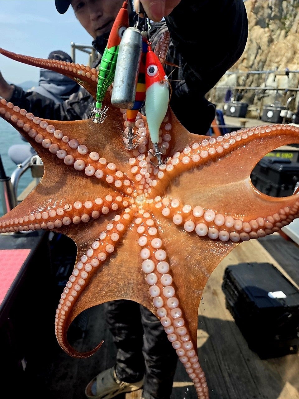 ����ڰ� �ø� �̹���