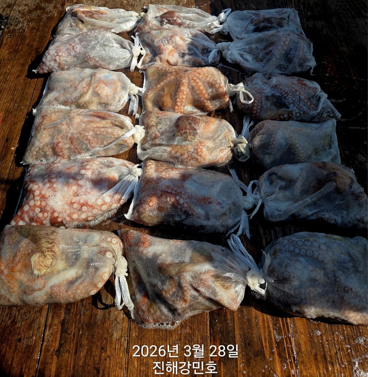 ����ڰ� �ø� �̹���