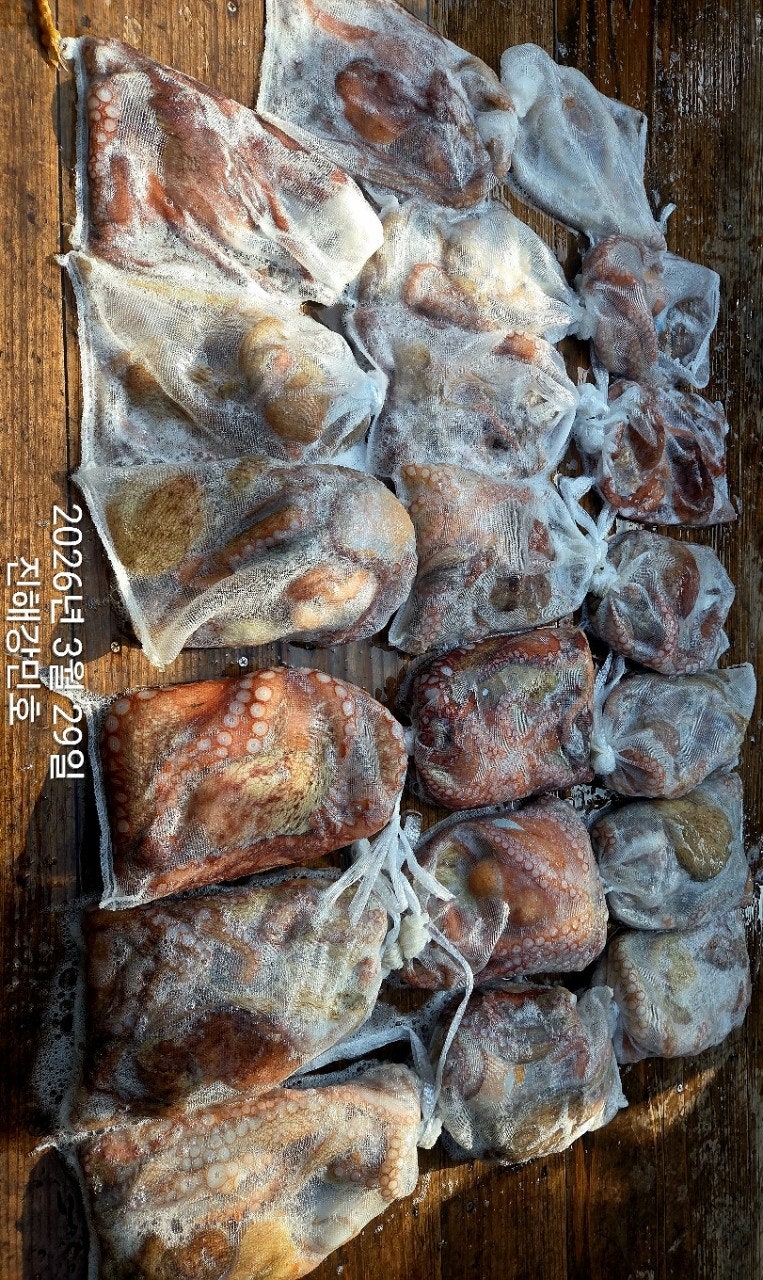 ����ڰ� �ø� �̹���