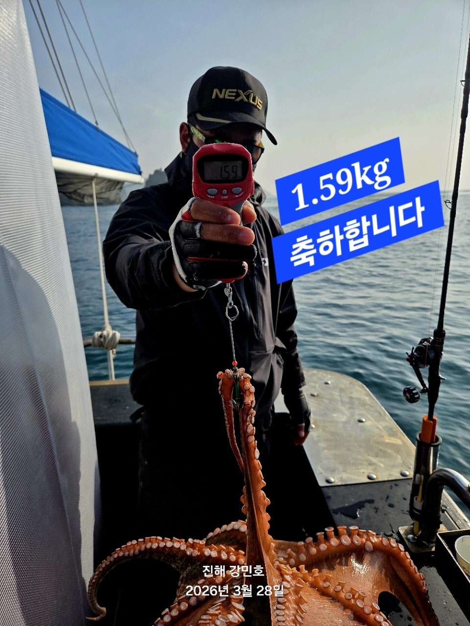 ����ڰ� �ø� �̹���