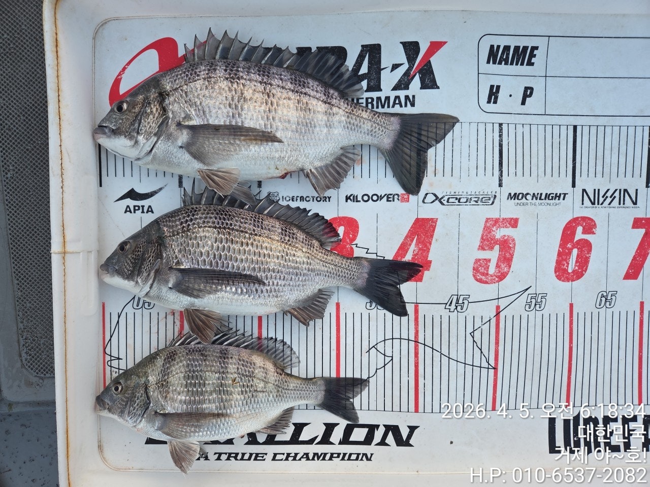 ����ڰ� �ø� �̹���