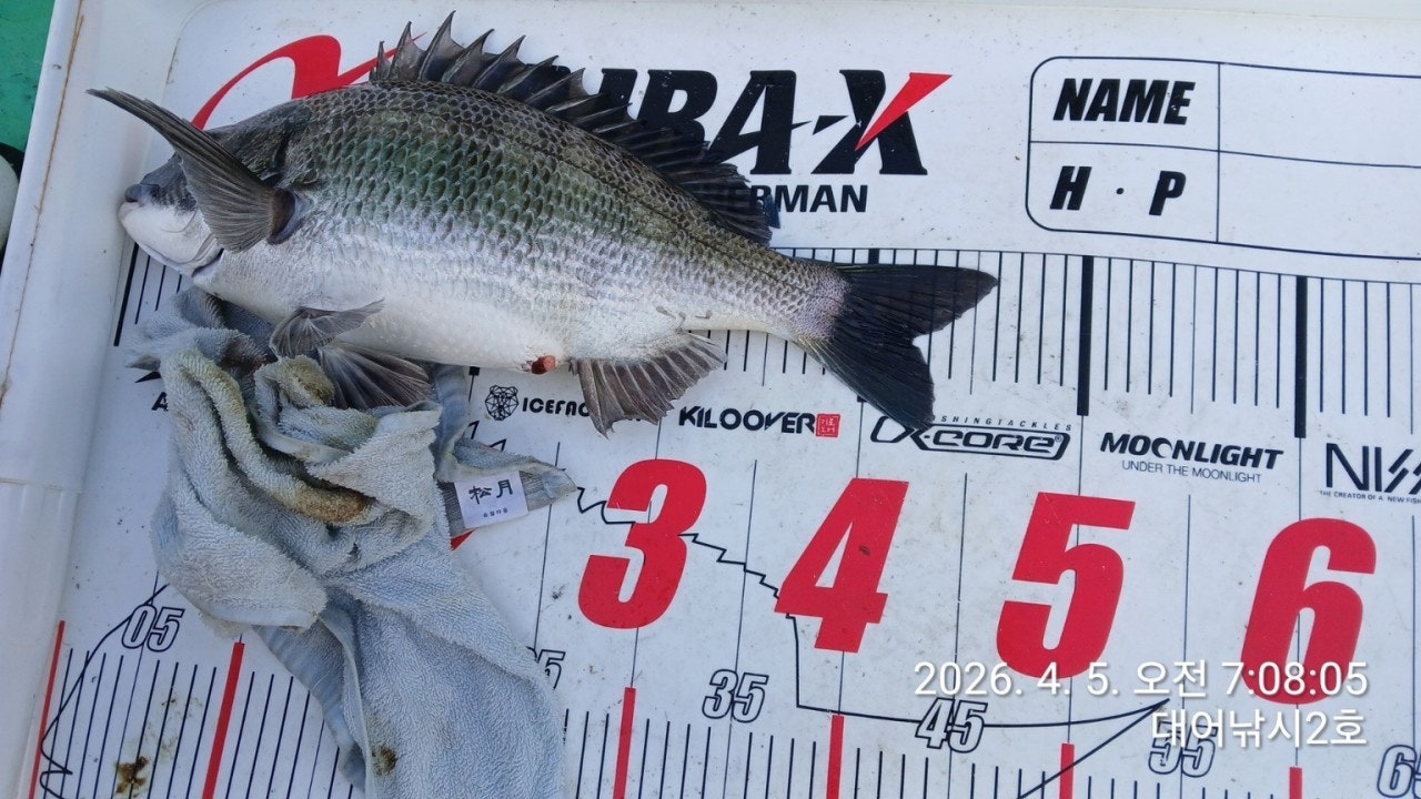 ����ڰ� �ø� �̹���