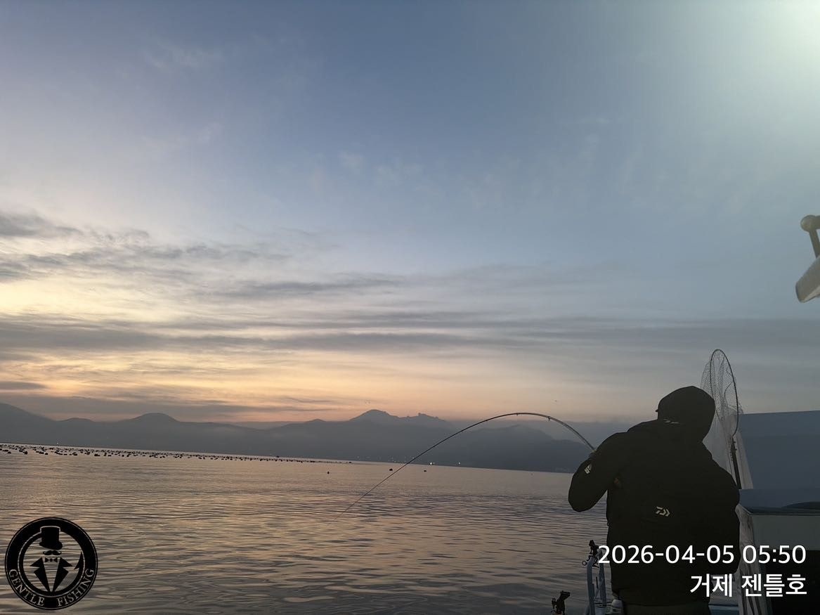 ����ڰ� �ø� �̹���