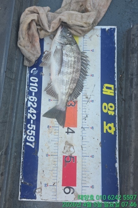 ����ڰ� �ø� �̹���