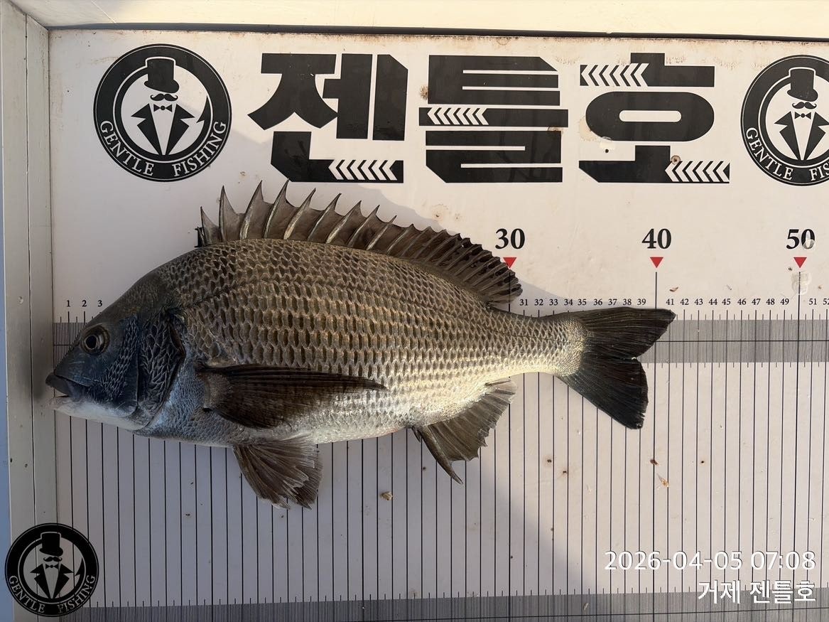 ����ڰ� �ø� �̹���