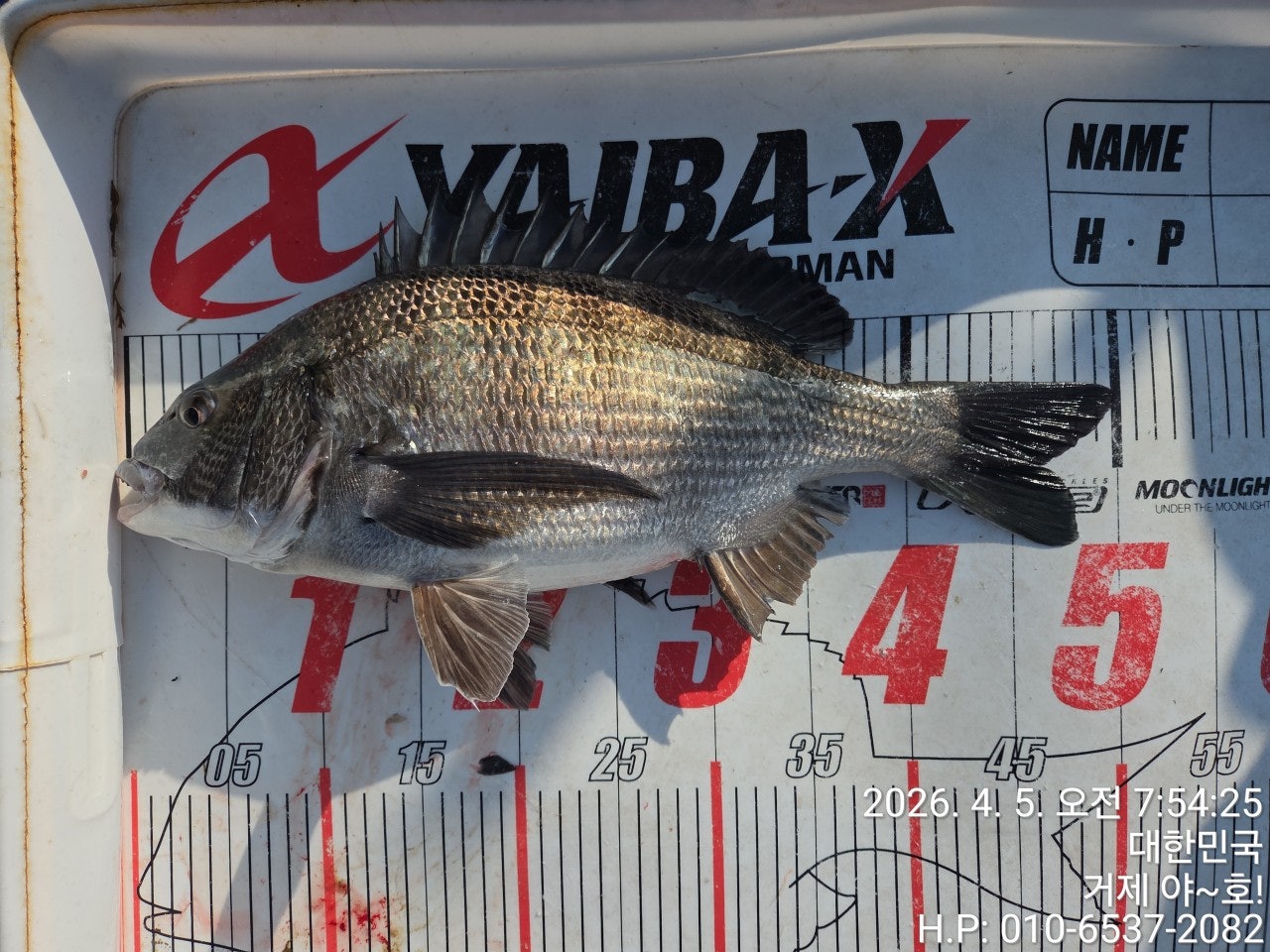 ����ڰ� �ø� �̹���