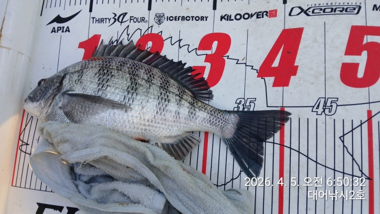 ����ڰ� �ø� �̹���