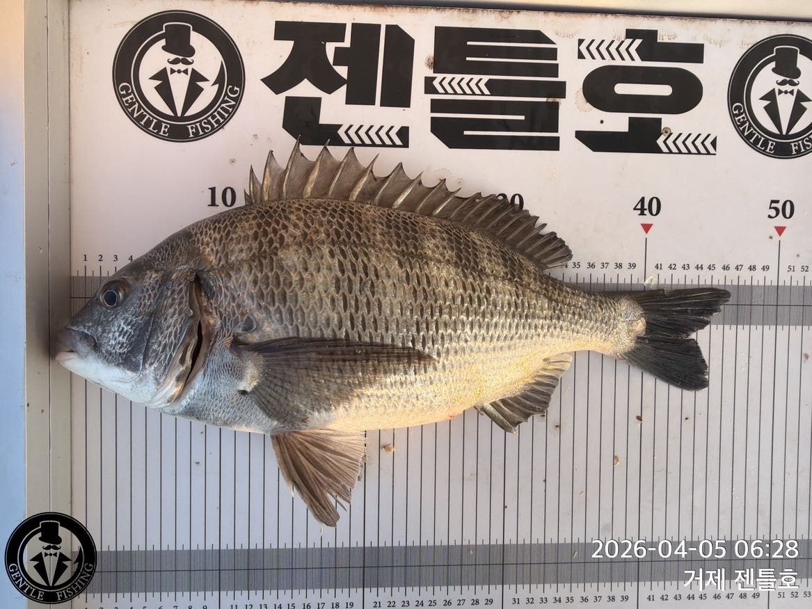 ����ڰ� �ø� �̹���