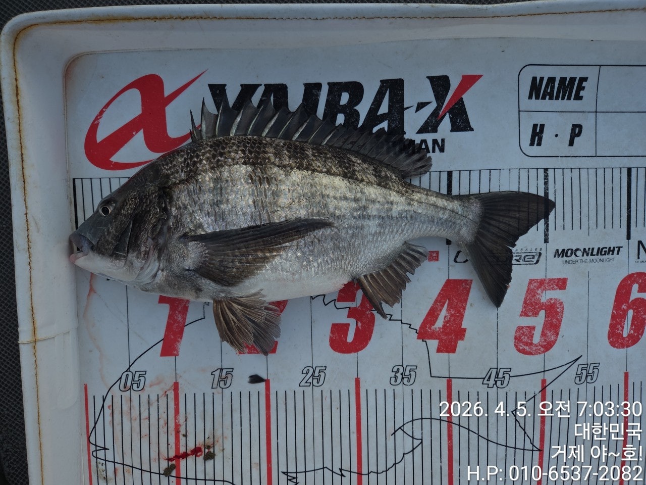 ����ڰ� �ø� �̹���