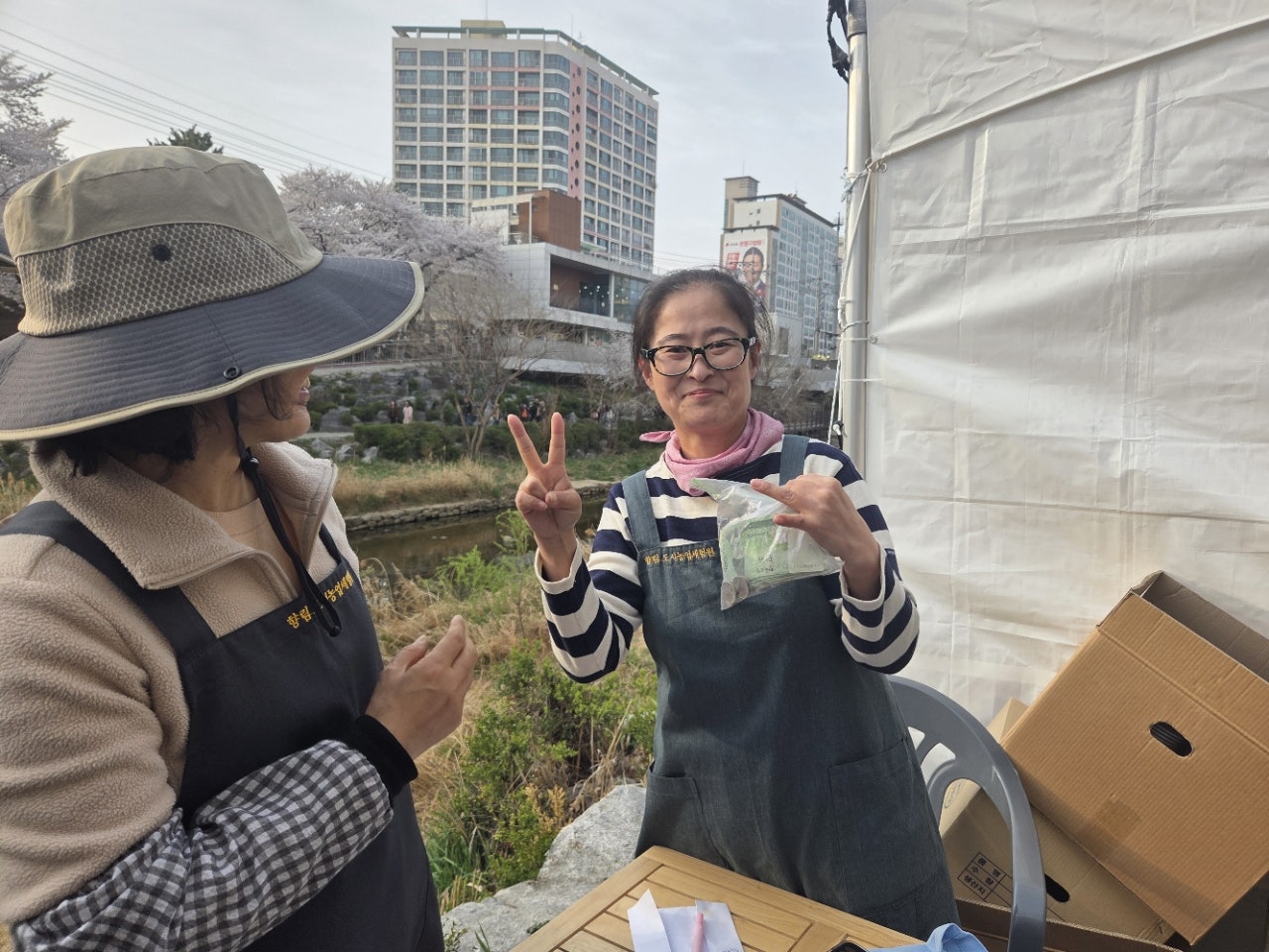 사용자가 올린 이미지