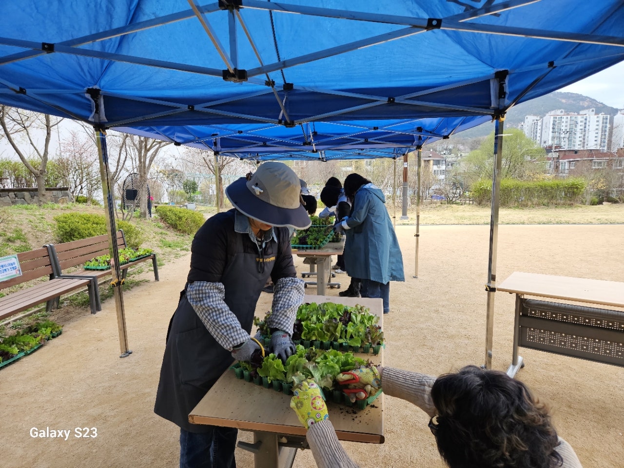 사용자가 올린 이미지