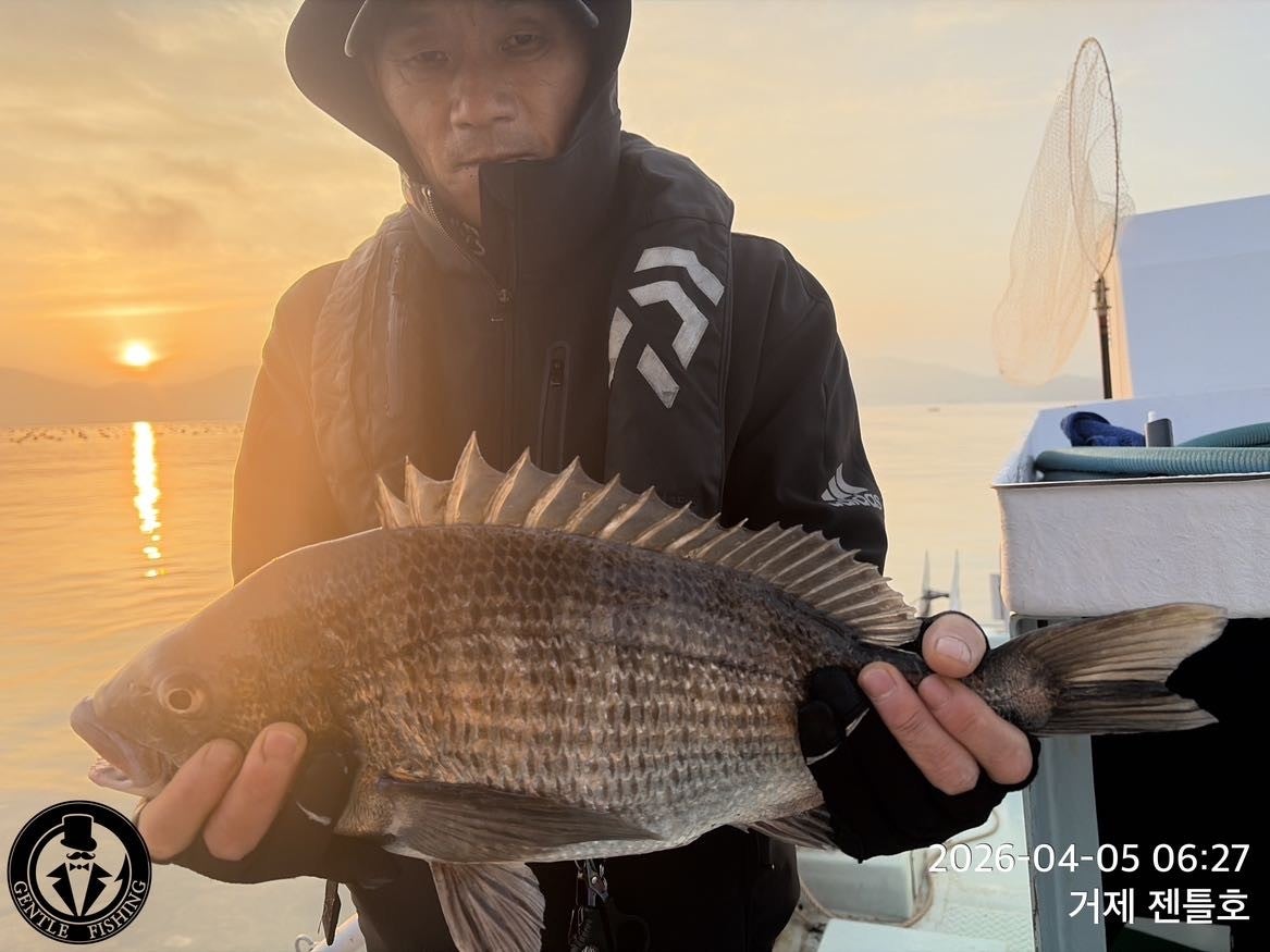 ����ڰ� �ø� �̹���