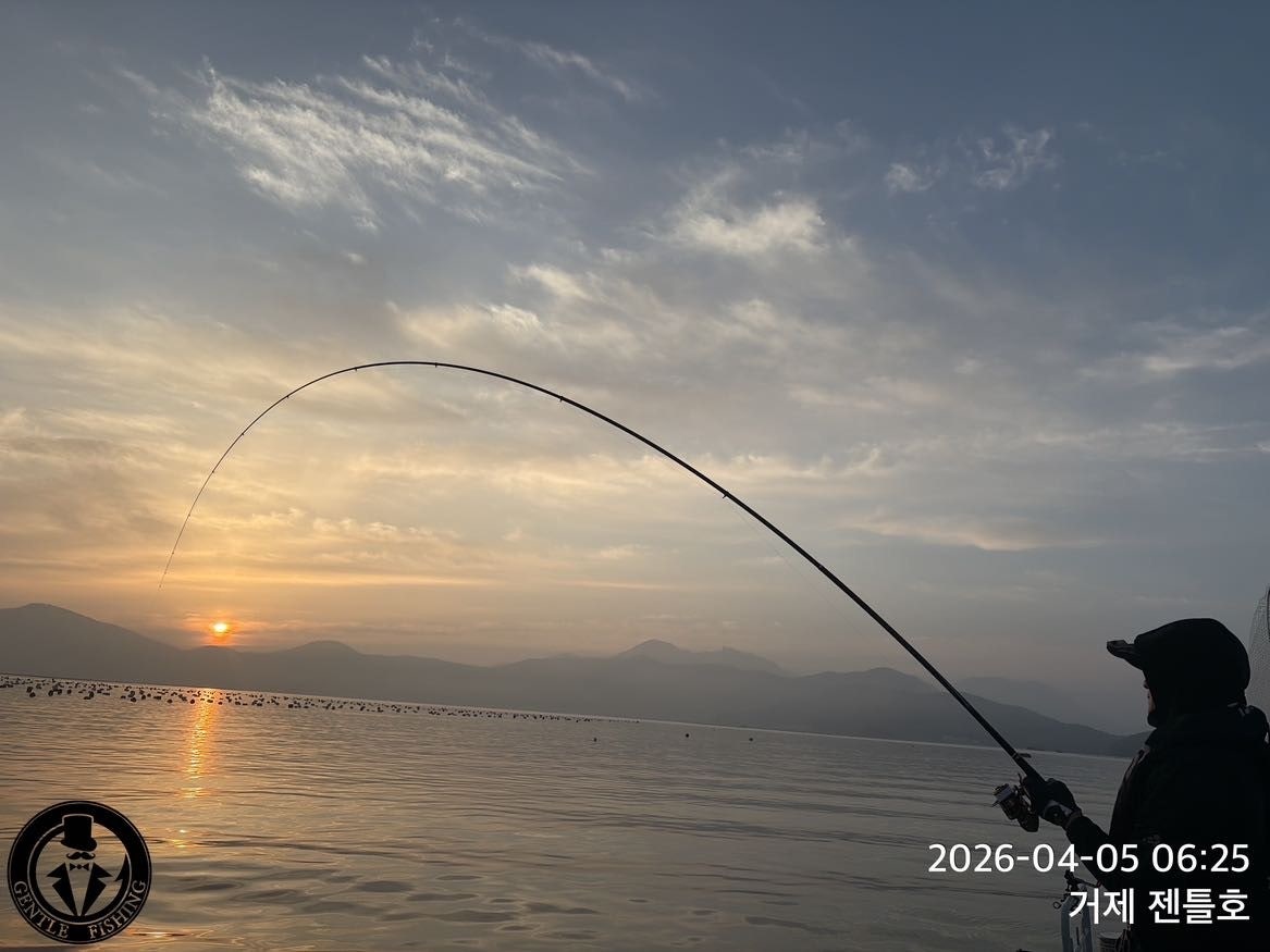 ����ڰ� �ø� �̹���