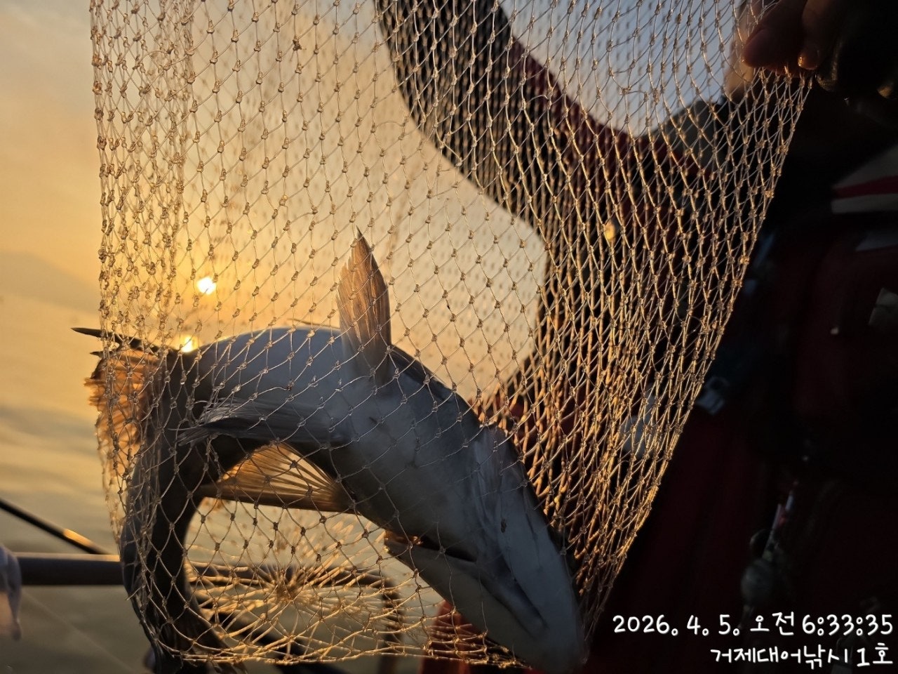 ����ڰ� �ø� �̹���