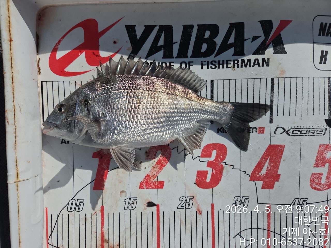 ����ڰ� �ø� �̹���