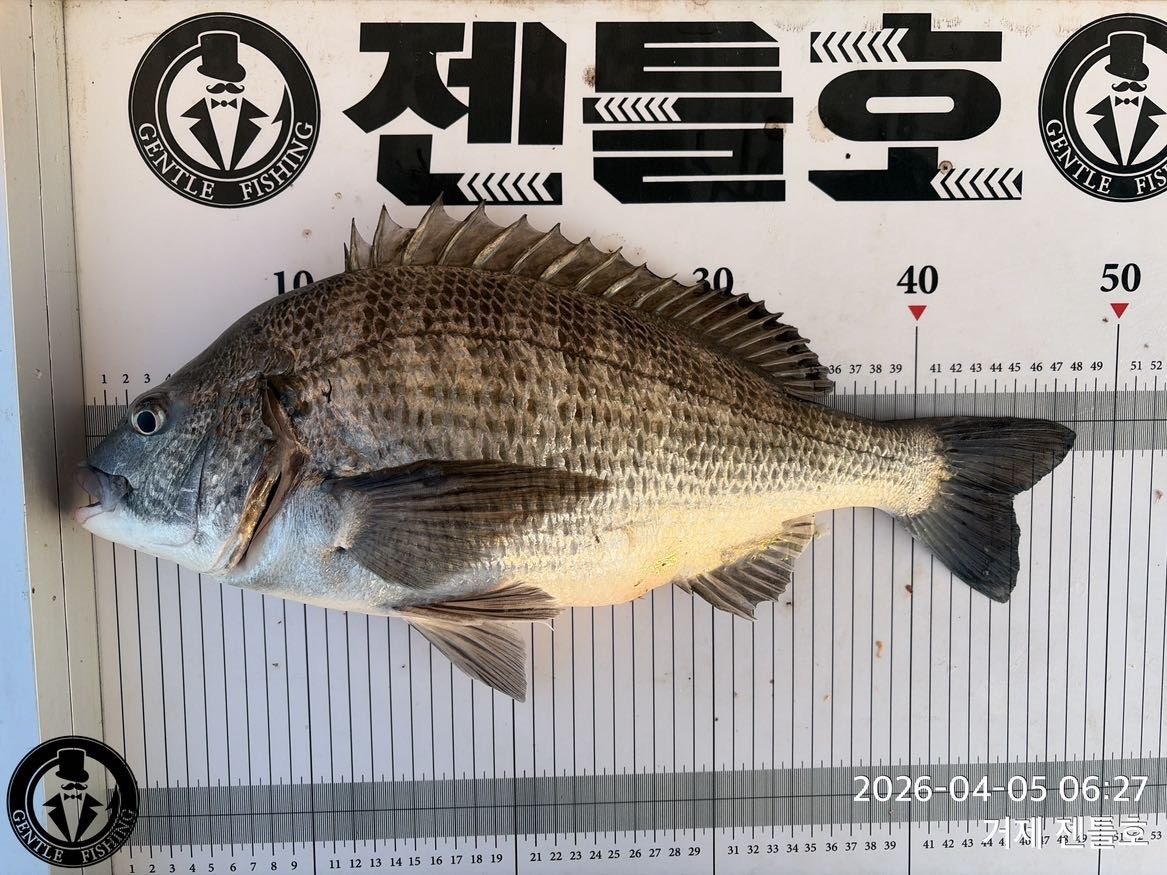 ����ڰ� �ø� �̹���