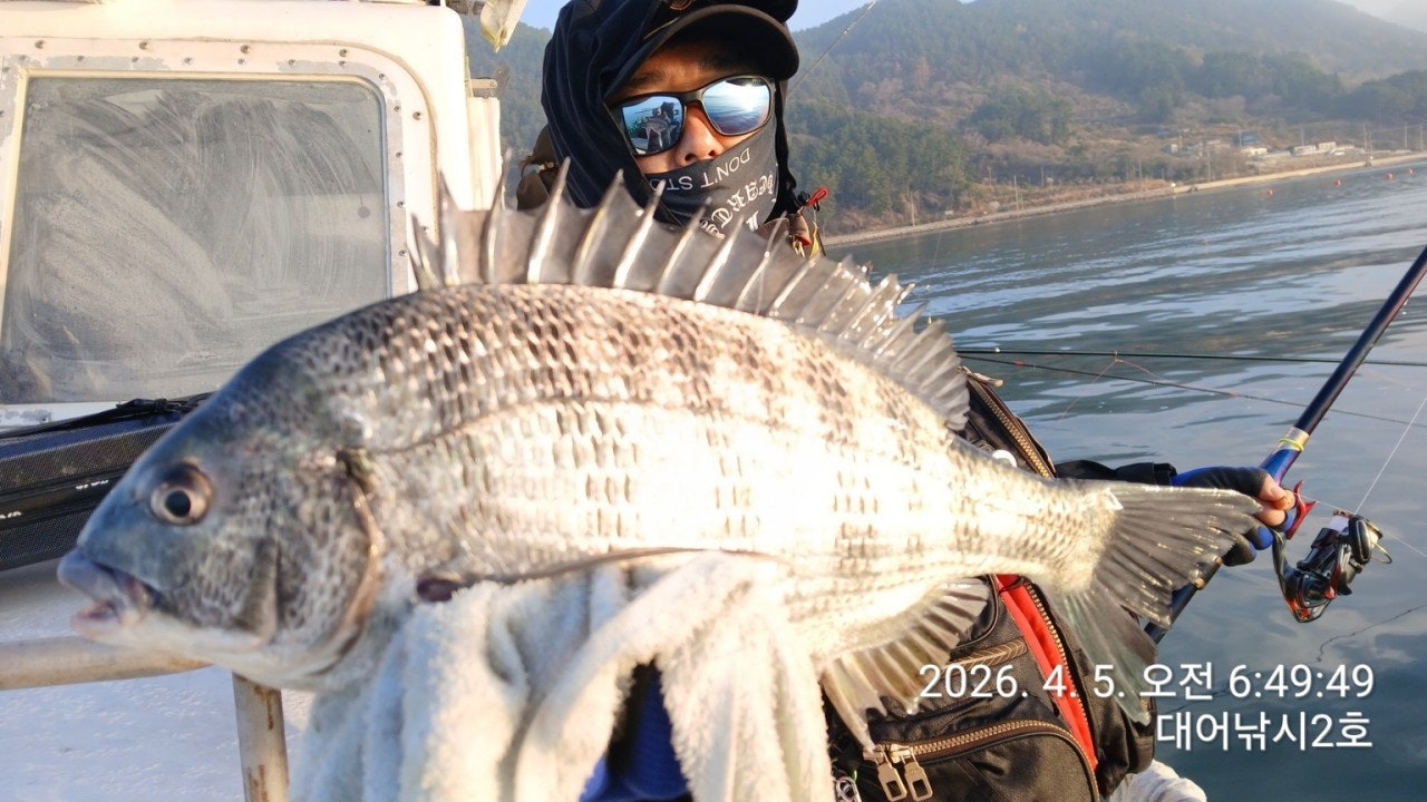 ����ڰ� �ø� �̹���