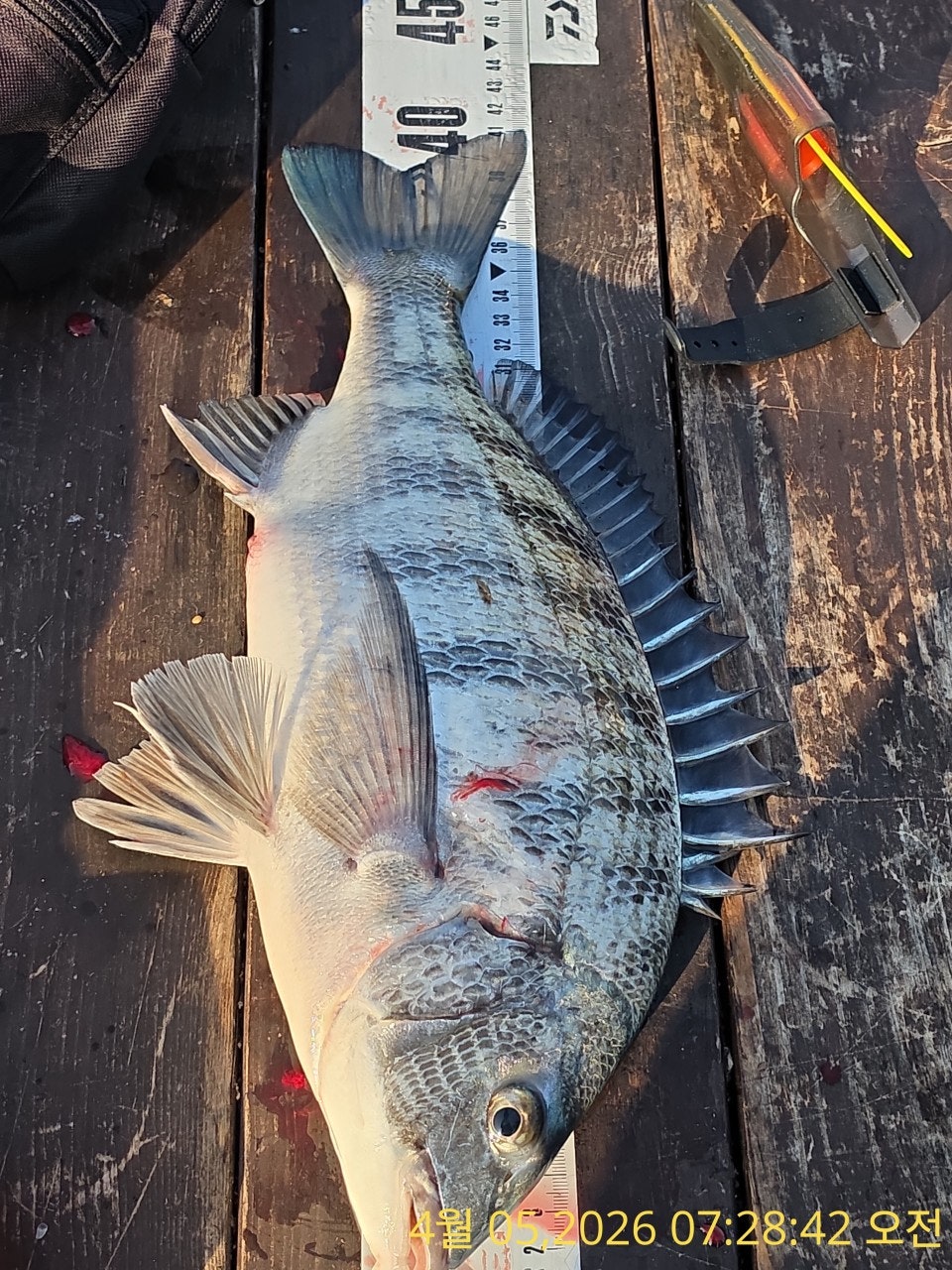 ����ڰ� �ø� �̹���