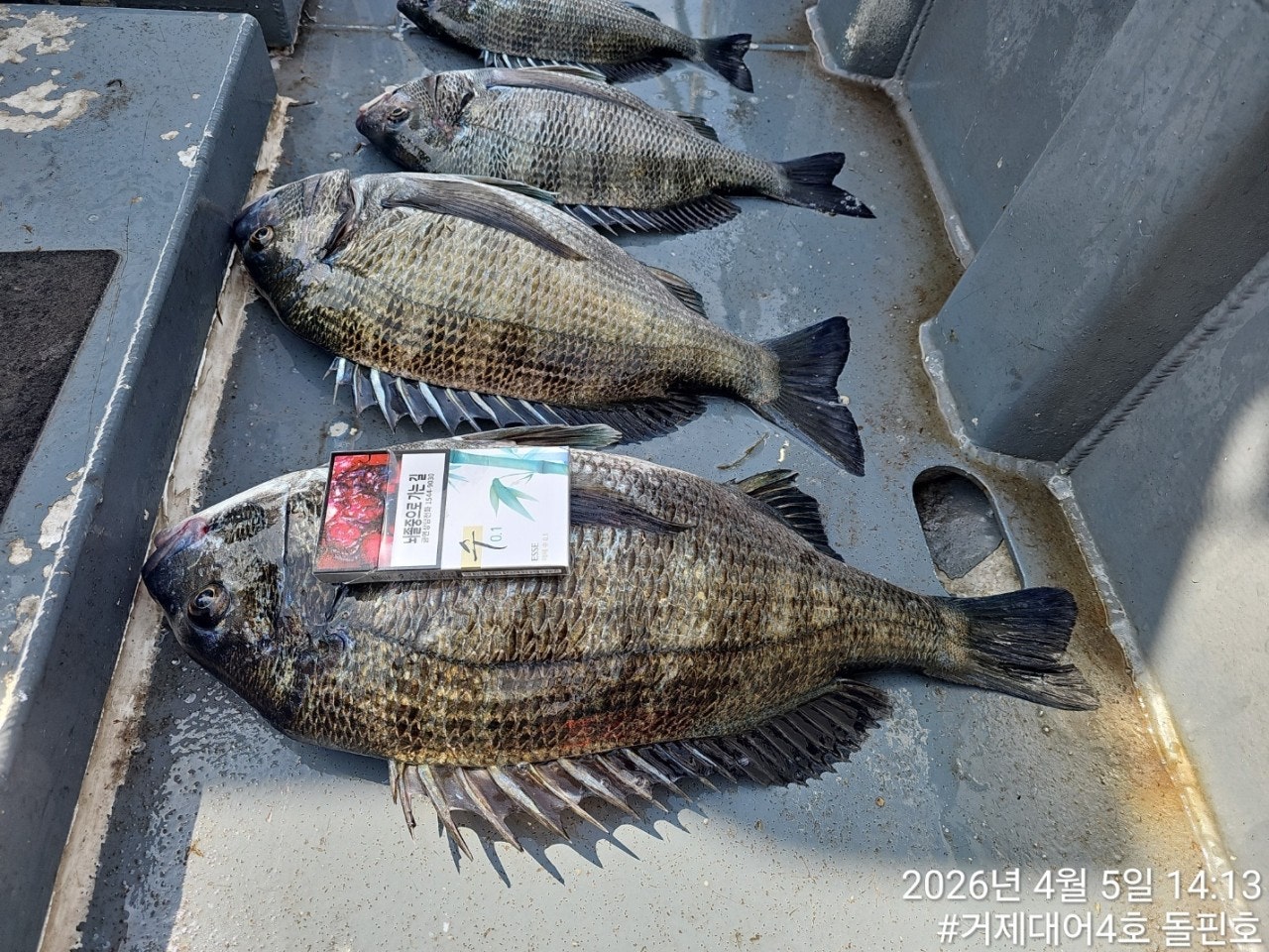 ����ڰ� �ø� �̹���