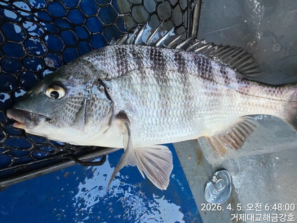 ����ڰ� �ø� �̹���