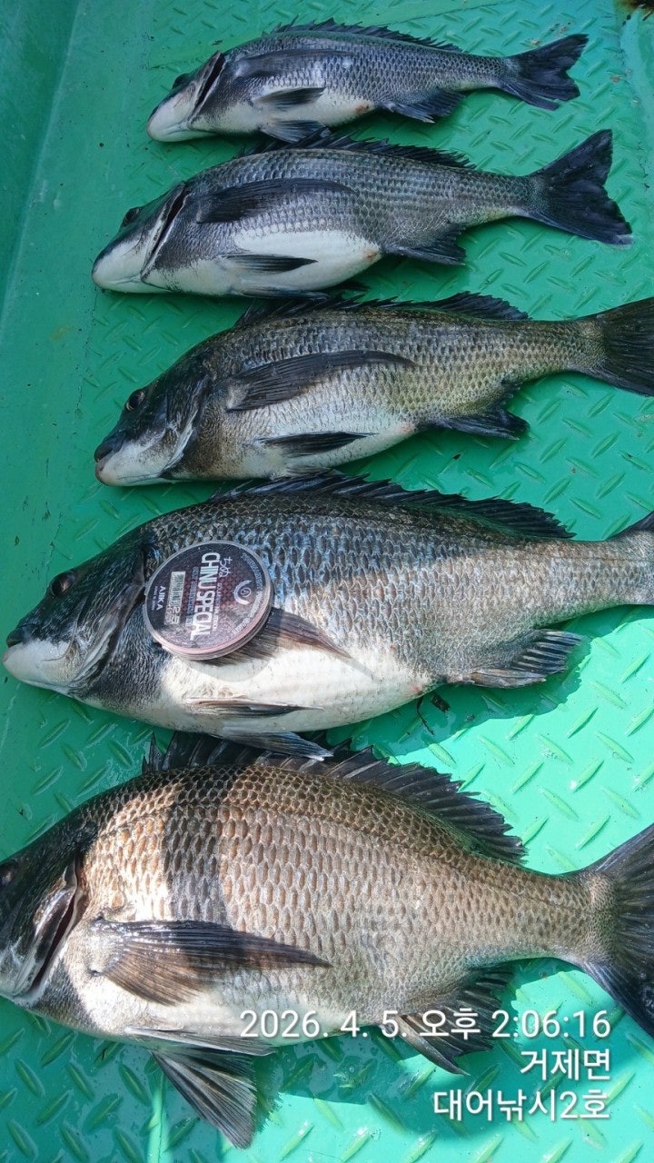 ����ڰ� �ø� �̹���