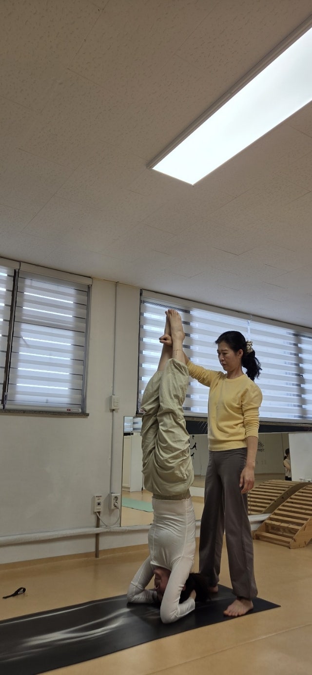 ����ڰ� �ø� �̹���