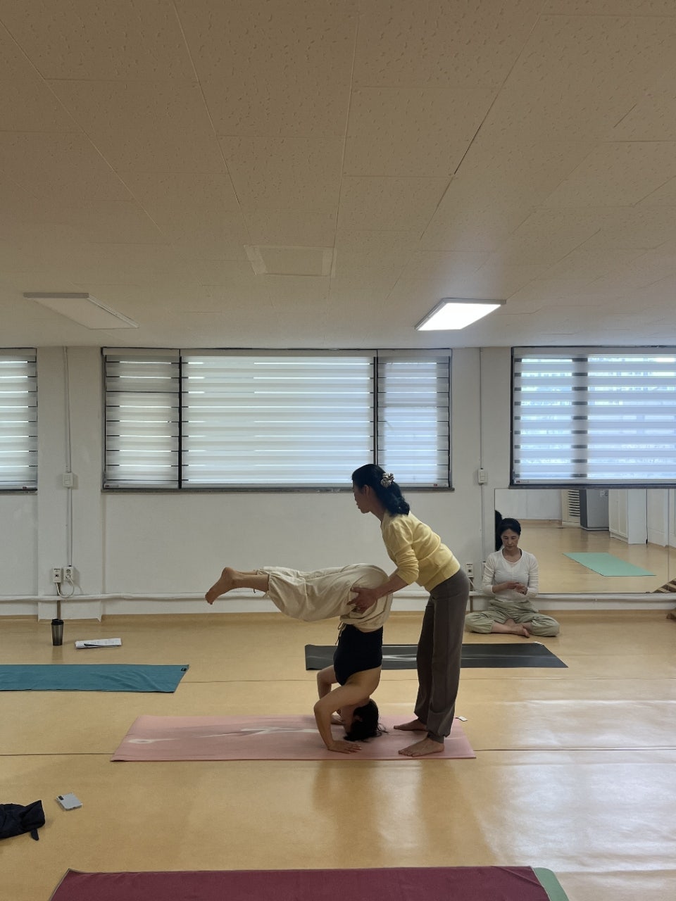 ����ڰ� �ø� �̹���