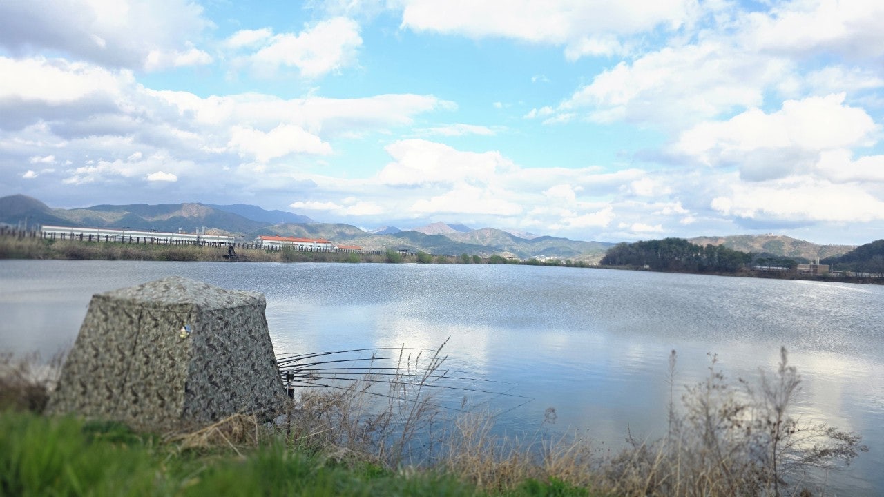 사용자가 올린 이미지