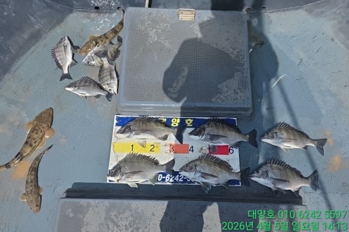 ����ڰ� �ø� �̹���