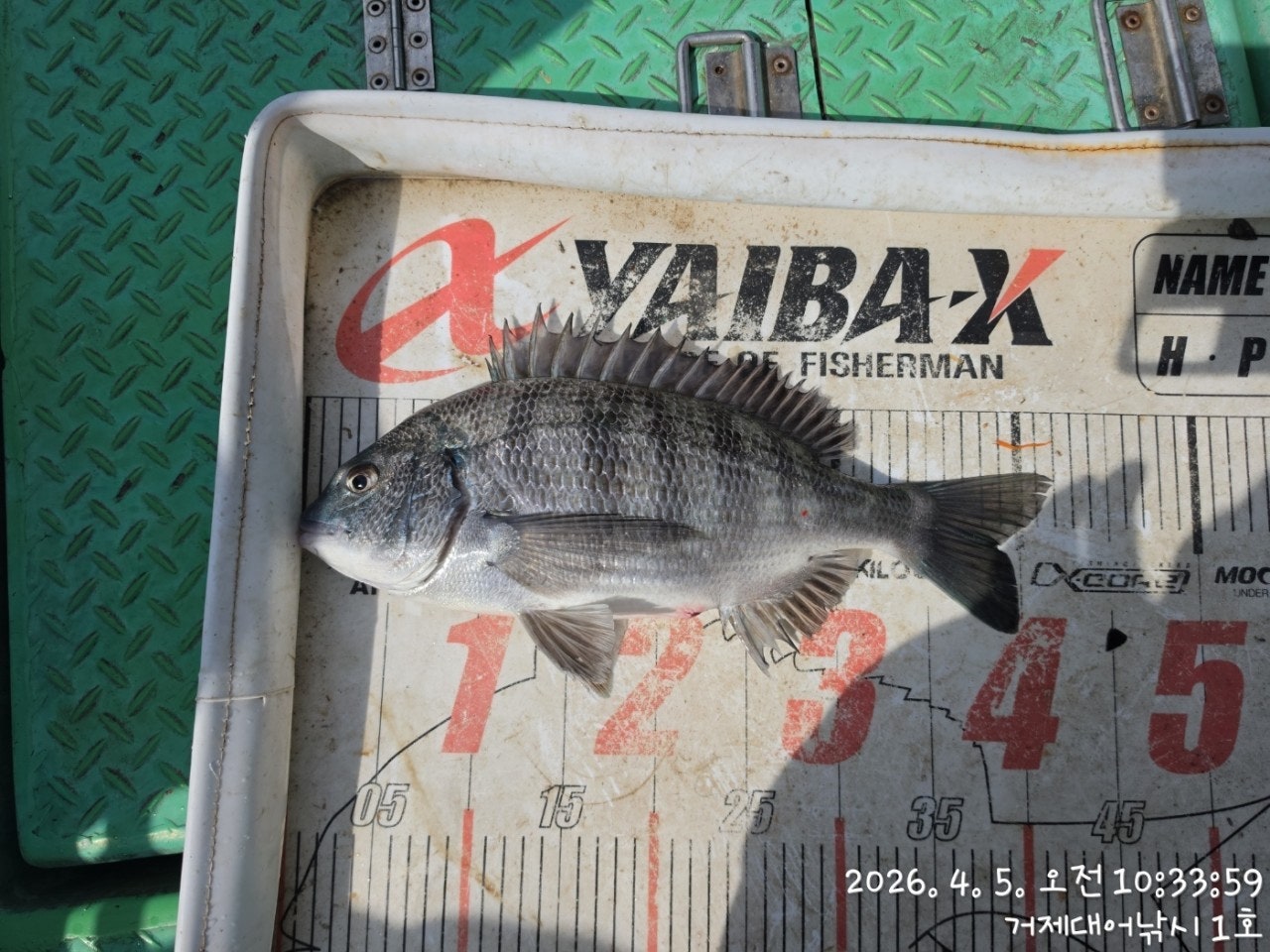 ����ڰ� �ø� �̹���