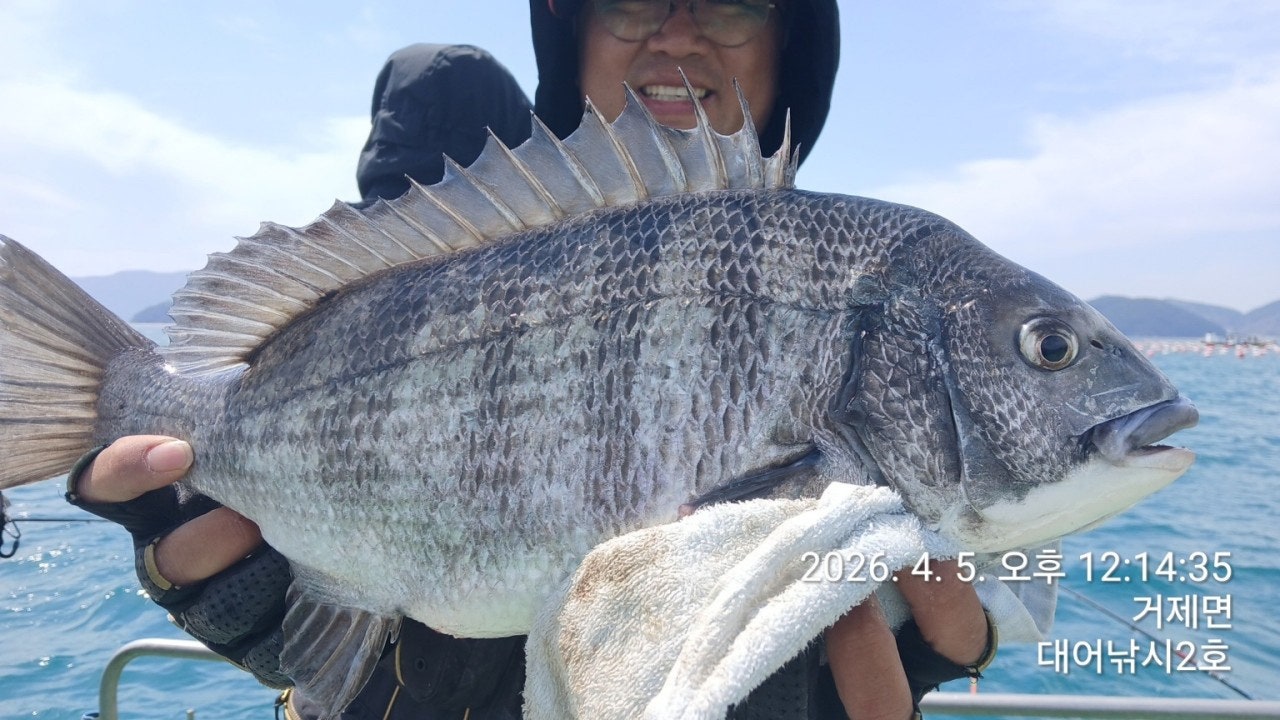 ����ڰ� �ø� �̹���