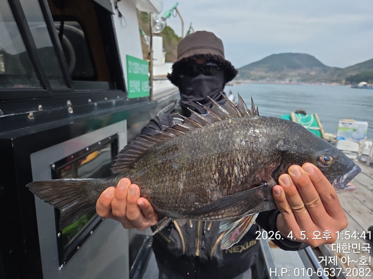 ����ڰ� �ø� �̹���