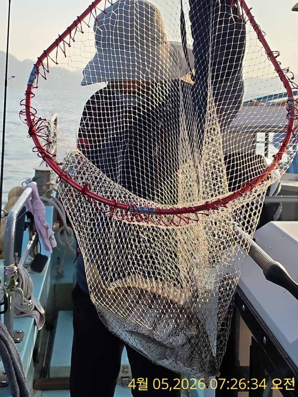 ����ڰ� �ø� �̹���