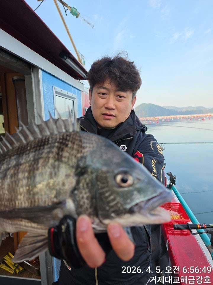 ����ڰ� �ø� �̹���