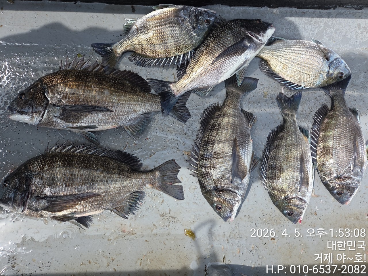 ����ڰ� �ø� �̹���