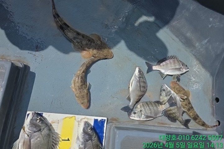 ����ڰ� �ø� �̹���