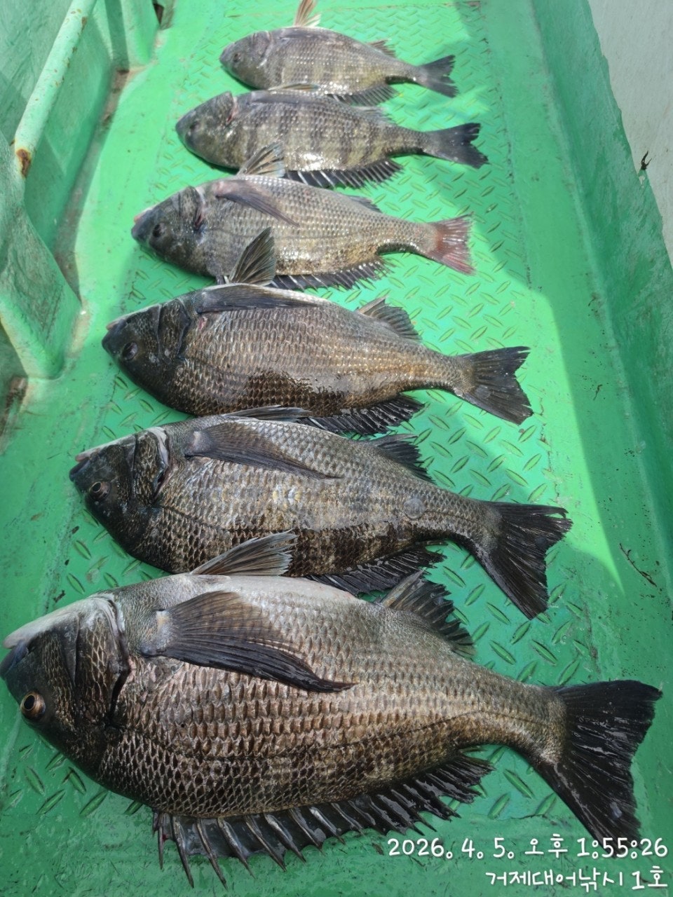 ����ڰ� �ø� �̹���