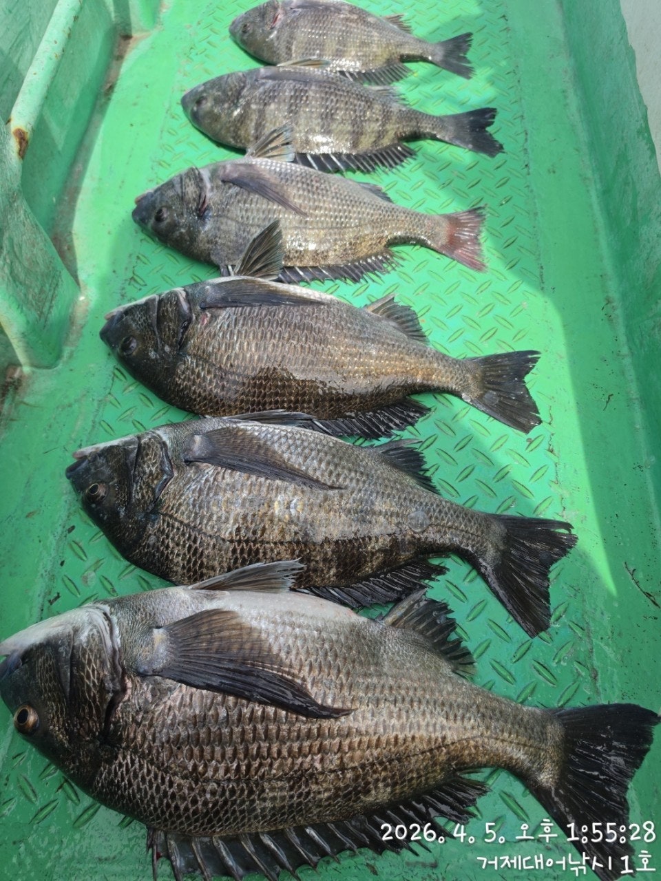 ����ڰ� �ø� �̹���