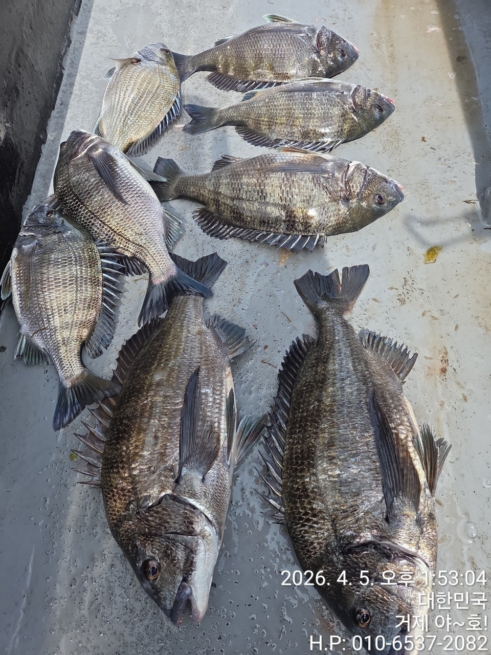 ����ڰ� �ø� �̹���