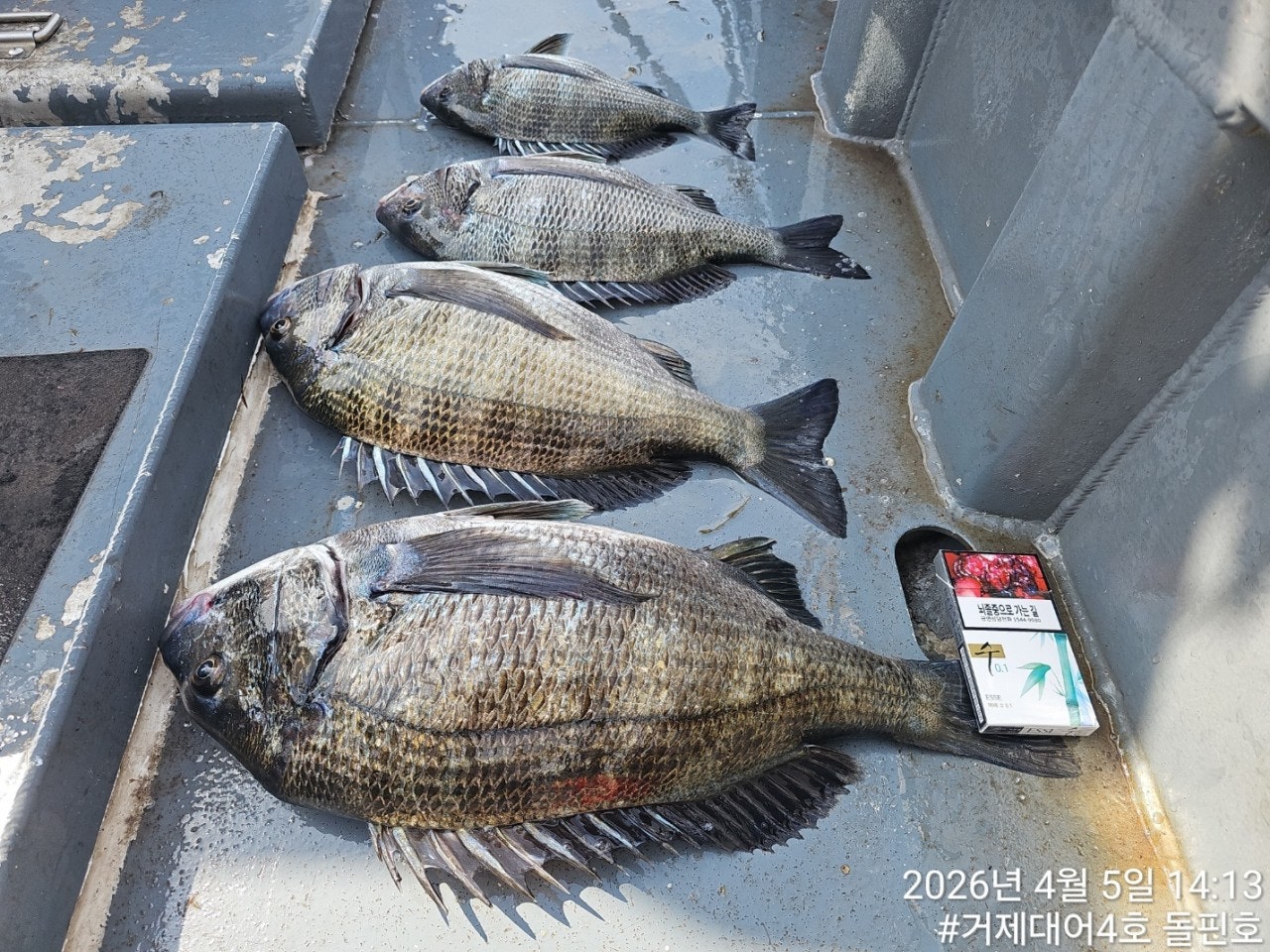 ����ڰ� �ø� �̹���