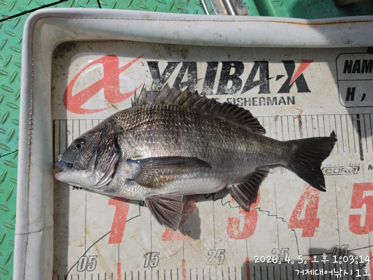 ����ڰ� �ø� �̹���