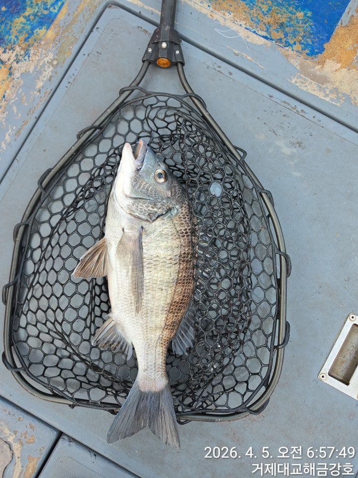 ����ڰ� �ø� �̹���