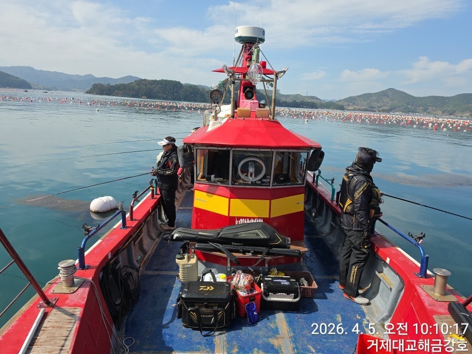 ����ڰ� �ø� �̹���