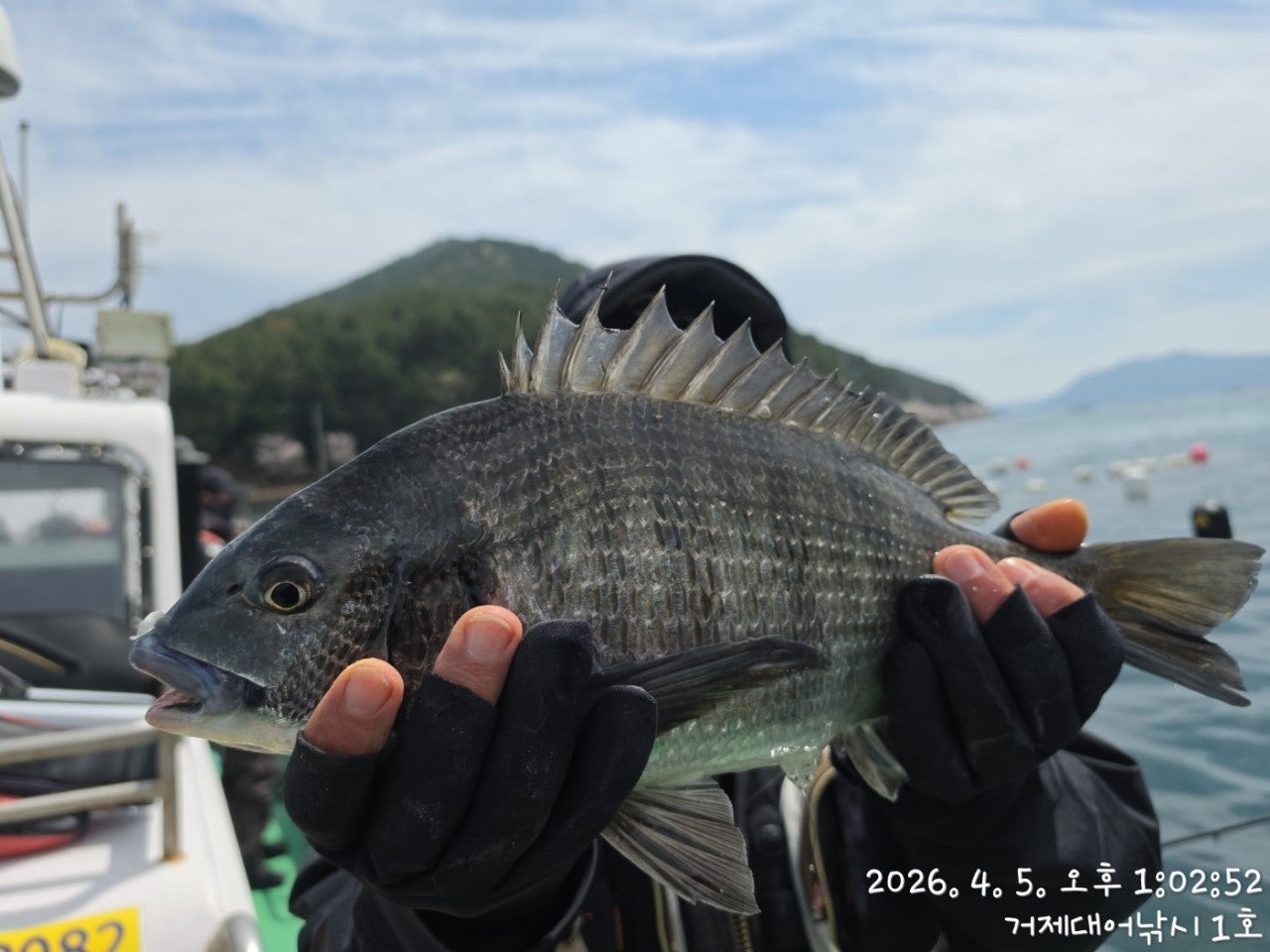 ����ڰ� �ø� �̹���