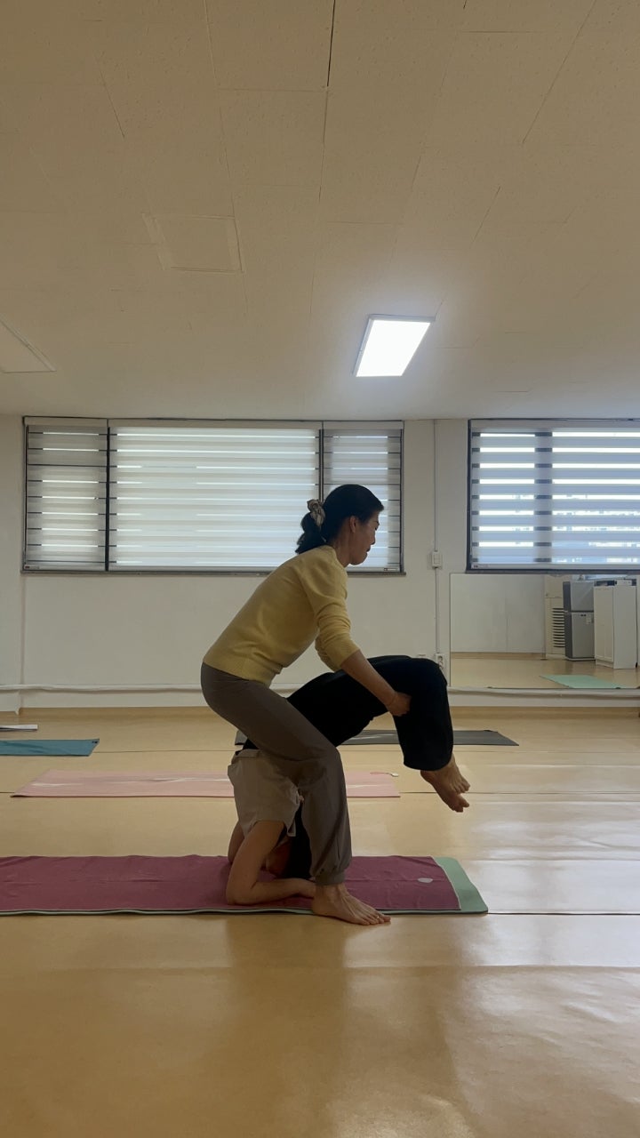 ����ڰ� �ø� �̹���